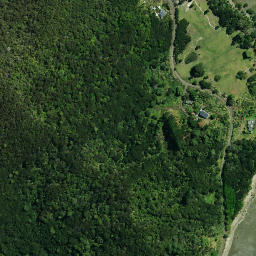 Satellite imagery of Taumatakanae Point, NZ