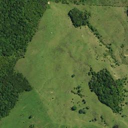 Satellite imagery of TE OI, NZ