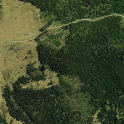 Satellite imagery of Taumatakanae Point, NZ