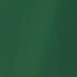 Satellite imagery of Koutu Point, NZ