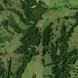 Satellite imagery of L (Motatau SD), NZ
