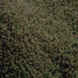 Satellite imagery of Stallion Hill, AU