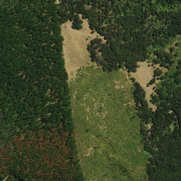 Satellite imagery of Taumatakanae Point, NZ