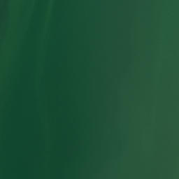 Satellite imagery of Koutu Point, NZ