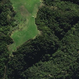 Satellite imagery of SM 3 SO 55671, NZ