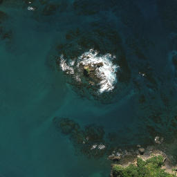 Satellite imagery of Tauranga Kawau Point, NZ