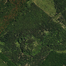 Satellite imagery of Maukoro Pa, NZ