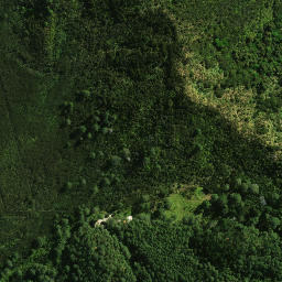 Satellite imagery of 1481, NZ