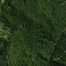 Satellite imagery of 1481, NZ