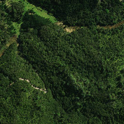Satellite imagery of 1481, NZ