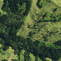 Satellite imagery of 1491 NO 2, NZ