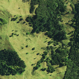 Satellite imagery of 1491 NO 2, NZ