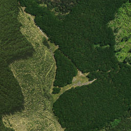 Satellite imagery of Maukoro Pa, NZ