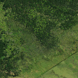 Satellite imagery of Rangi Point, NZ