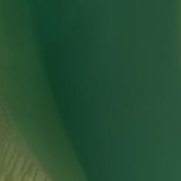 Satellite imagery of Rangi Point, NZ