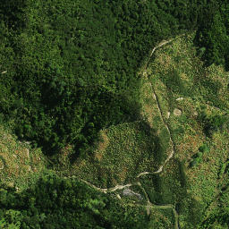Satellite imagery of 1481, NZ