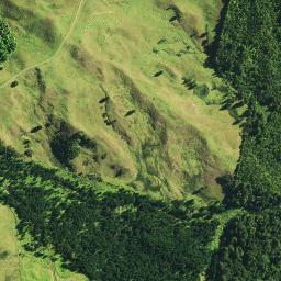 Satellite imagery of 1491 NO 2, NZ