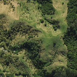 Satellite imagery of SM 8 SO 55672, NZ
