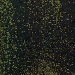 Satellite imagery of Fishing Gap, AU
