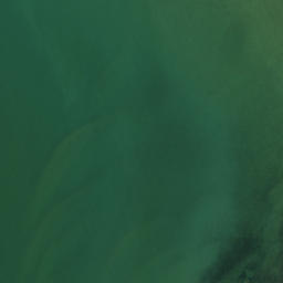 Satellite imagery of Whiria Pa, NZ