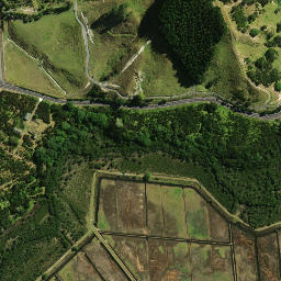 Satellite imagery of 1481, NZ