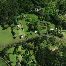 Satellite imagery of 1481, NZ