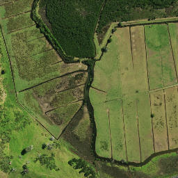 Satellite imagery of Whiria Pa, NZ