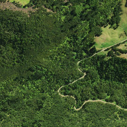 Satellite imagery of 1831 PUKAWA, NZ
