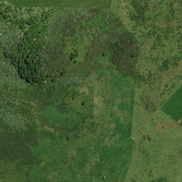 Satellite imagery of Hangunui Pa, NZ