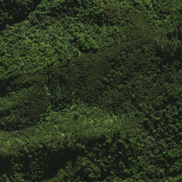 Satellite imagery of 30A ONEKAINGA, NZ