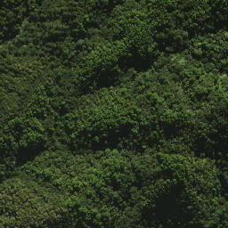 Satellite imagery of 30A ONEKAINGA, NZ