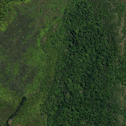 Satellite imagery of 15A MAUNGAKAWAKAWA, NZ