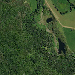 Satellite imagery of 15A MAUNGAKAWAKAWA, NZ