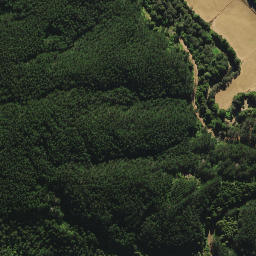 Satellite imagery of SM 10 SO 55672, NZ