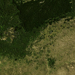 Satellite imagery of 109 RANGITIRA, NZ