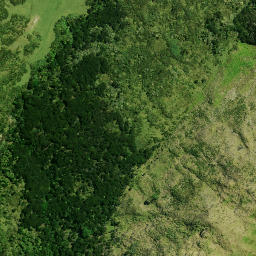 Satellite imagery of 1833 (R1) PAEROA, NZ