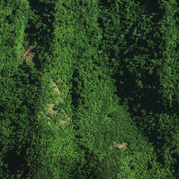 Satellite imagery of 104 NGAPUKEHAUA, NZ