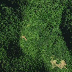 Satellite imagery of 104 NGAPUKEHAUA, NZ