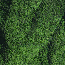 Satellite imagery of 104 NGAPUKEHAUA, NZ