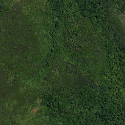 Satellite imagery of 15A MAUNGAKAWAKAWA, NZ