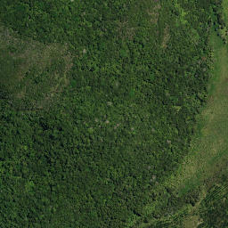 Satellite imagery of 15A MAUNGAKAWAKAWA, NZ