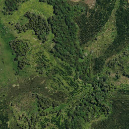 Satellite imagery of 15A MAUNGAKAWAKAWA, NZ