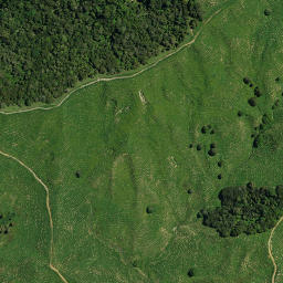 Satellite imagery of TAUTORO NO 2, NZ