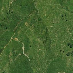 Satellite imagery of TAUTORO NO 2, NZ
