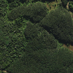 Satellite imagery of SM 10 SO 55672, NZ
