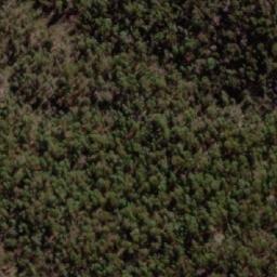 Satellite imagery of Bogong Mountain, AU