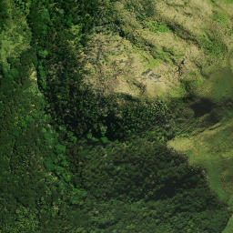 Satellite imagery of 1833 (R1) PAEROA, NZ