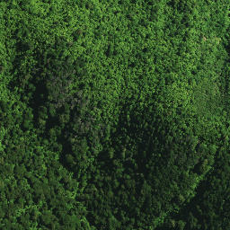 Satellite imagery of 104 NGAPUKEHAUA, NZ