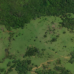 Satellite imagery of 15A MAUNGAKAWAKAWA, NZ