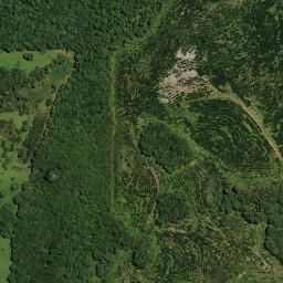 Satellite imagery of 15A MAUNGAKAWAKAWA, NZ